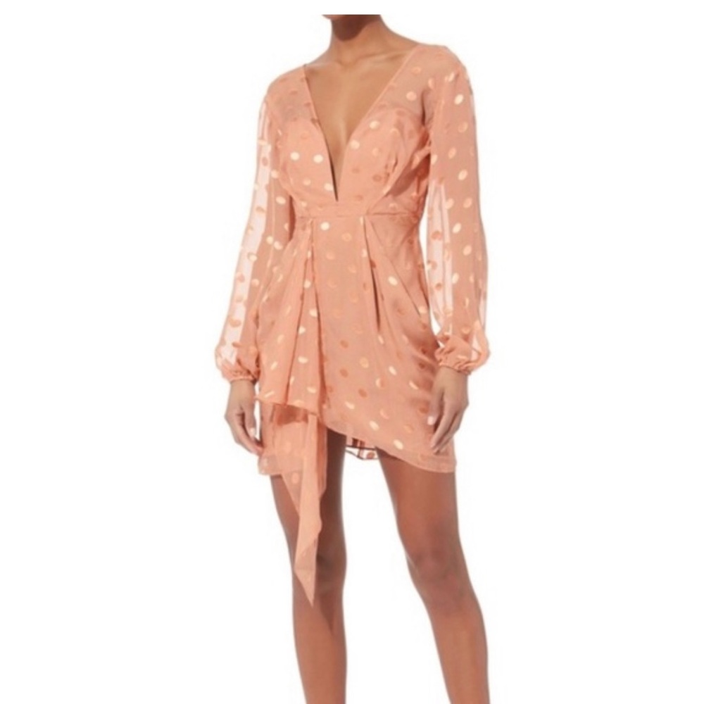 Michelle mason polka dot dress